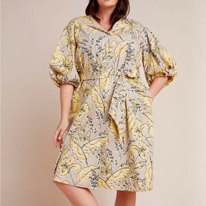 Anthropologie Midi Dress